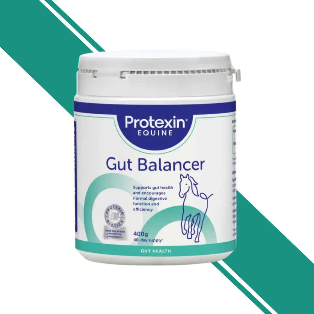 Protexin Equine - Gut Balancer